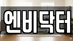 엔비닥터