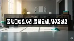 강원 동해시 심곡동 청소,입주청소,사무실청소,에어컨청소,특수청소,상가청소,거주청소,유품정리