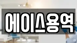 에이스용역