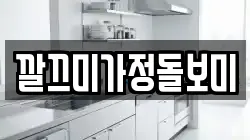 깔끄미가정돌보미