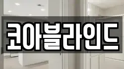 강원 삼척시 적노동 청소,입주청소,사무실청소,에어컨청소,특수청소,상가청소,거주청소,유품정리