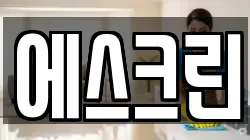 에스크린