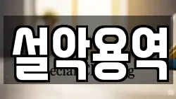 설악용역