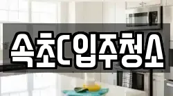 속초C입주청소