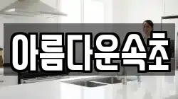 강원 속초시 장사동 청소,입주청소,사무실청소,에어컨청소,특수청소,상가청소,거주청소,유품정리