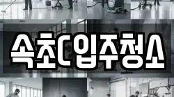 속초C입주청소