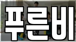 강원 속초시 중앙동 청소,입주청소,사무실청소,에어컨청소,특수청소,상가청소,거주청소,유품정리