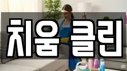 치움 클린