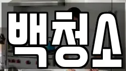 백청소