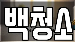백청소