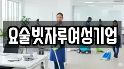 강원 원주시 부론면 청소,입주청소,사무실청소,에어컨청소,특수청소,상가청소,거주청소,유품정리