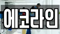 에코라인
