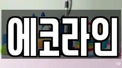 에코라인