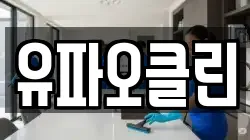 유파오클린