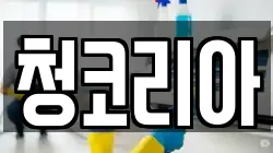 청코리아