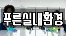 푸른실내환경