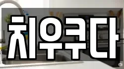 강원 춘천시 교동 청소,입주청소,사무실청소,에어컨청소,특수청소,상가청소,거주청소,유품정리