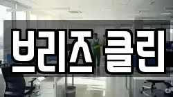 브리즈 클린