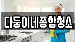 다둥이네종합청소