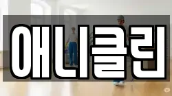 애니클린