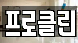 프로클린