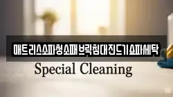 매트리스소파청소패브릭침대진드기쇼파세탁