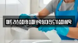 매트리스소파청소패브릭침대진드기쇼파세탁