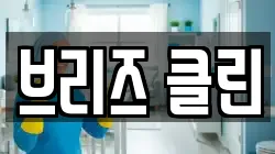 브리즈 클린