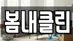 봄내클린