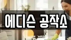 에디슨 공작소
