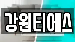 강원티에스