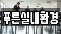 푸른실내환경