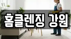 홈클렌징 강원