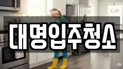 대명입주청소