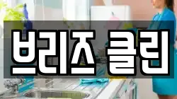 브리즈 클린