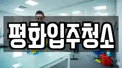 평화입주청소