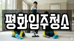 평화입주청소