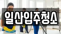 일산입주청소
