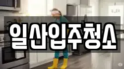 일산입주청소