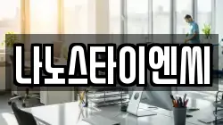 나노스타이엔씨