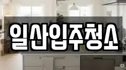 일산입주청소