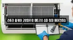 경기도 고양시 덕양구 향동동 청소,입주청소,사무실청소,에어컨청소,특수청소,상가청소,거주청소,유품정리