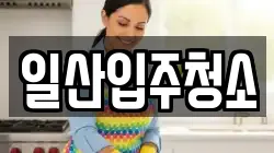 일산입주청소