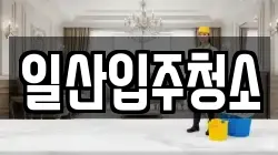 일산입주청소