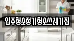 입주청소정기청소쓰레기집