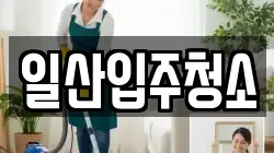 일산입주청소