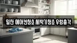경기도 고양시 일산동구 장항동 청소,입주청소,사무실청소,에어컨청소,특수청소,상가청소,거주청소,유품정리