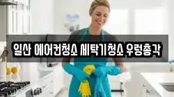 경기도 고양시 일산동구 정발산동 청소,입주청소,사무실청소,에어컨청소,특수청소,상가청소,거주청소,유품정리