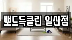뽀드득클린 일산점
