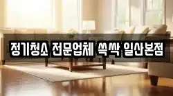 정기청소 전문업체 쓱싹 일산본점